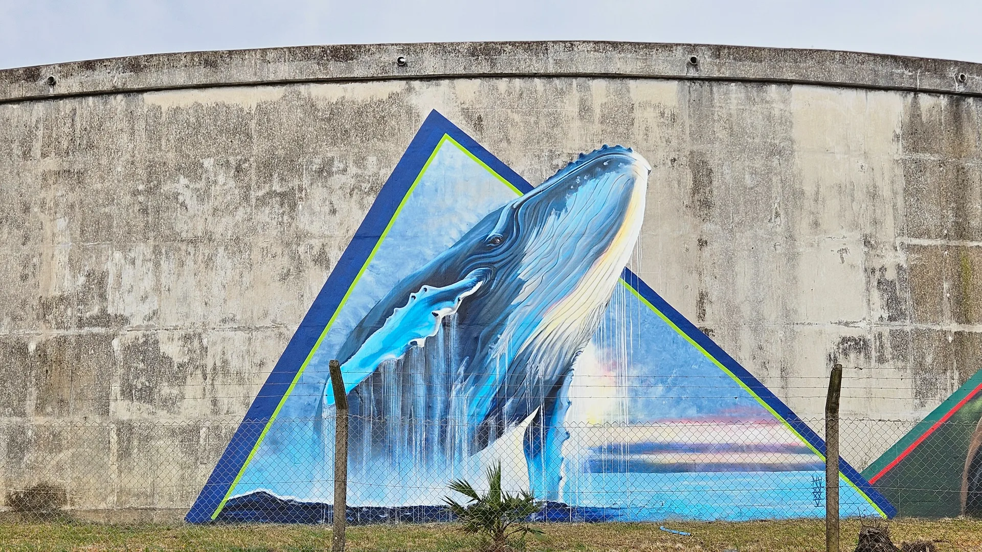 Gonubie's Whale