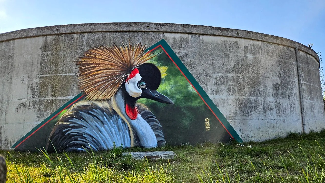 Crowned Crane
