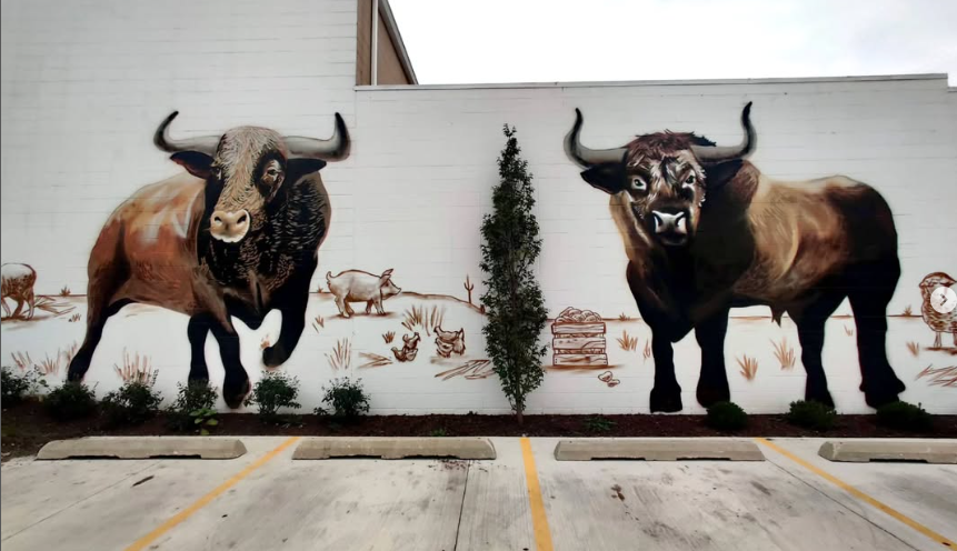 toros