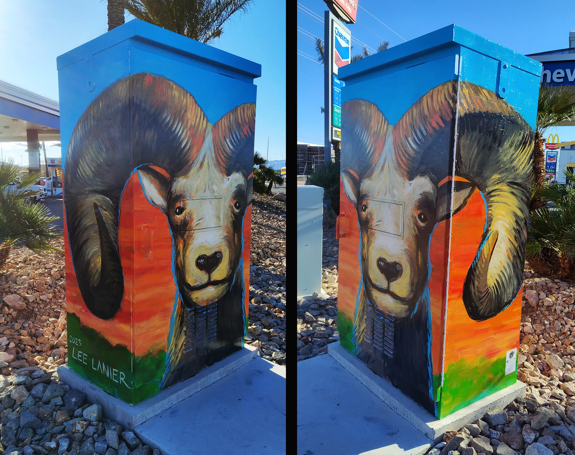 Bighorn Sheep