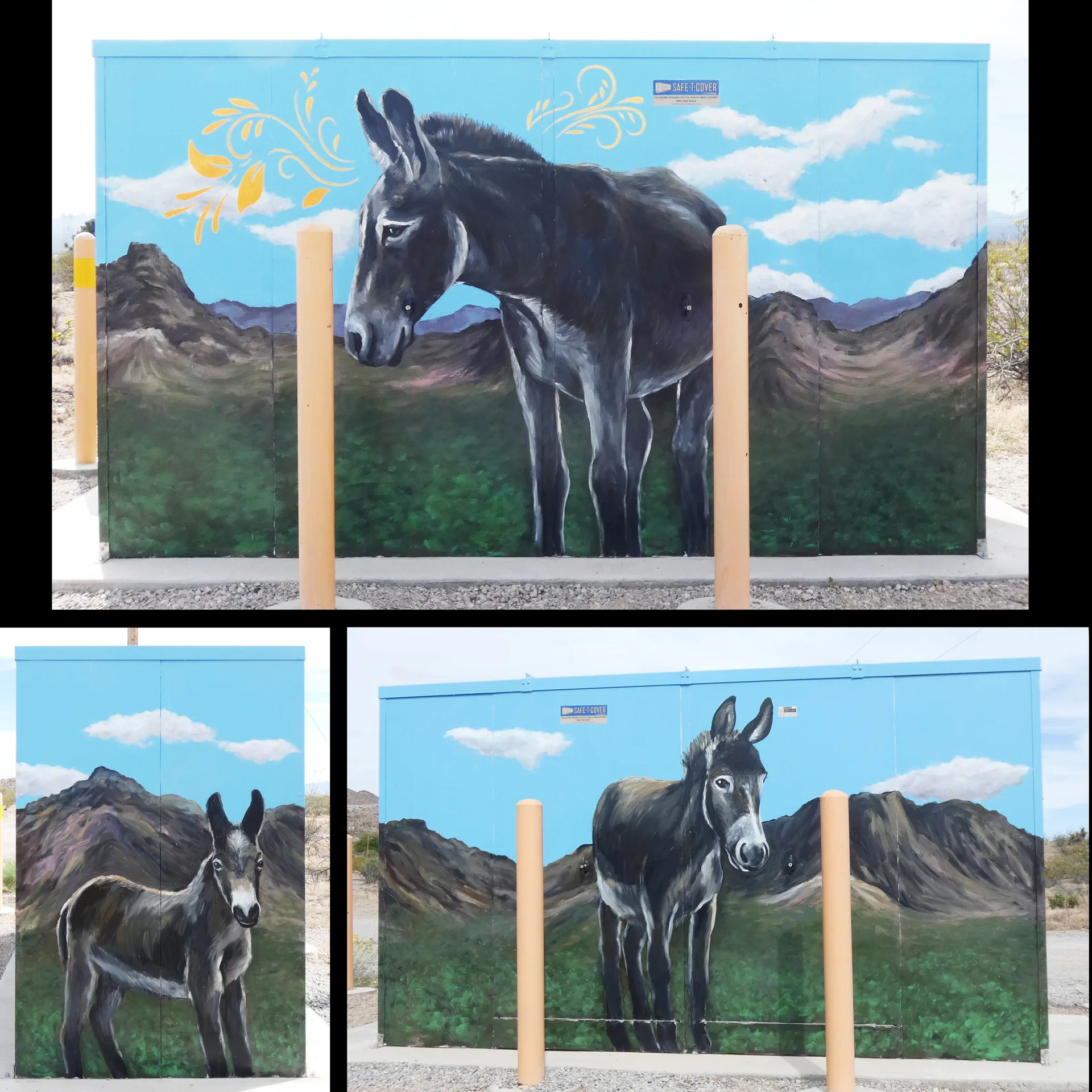 Portrait of a Burro