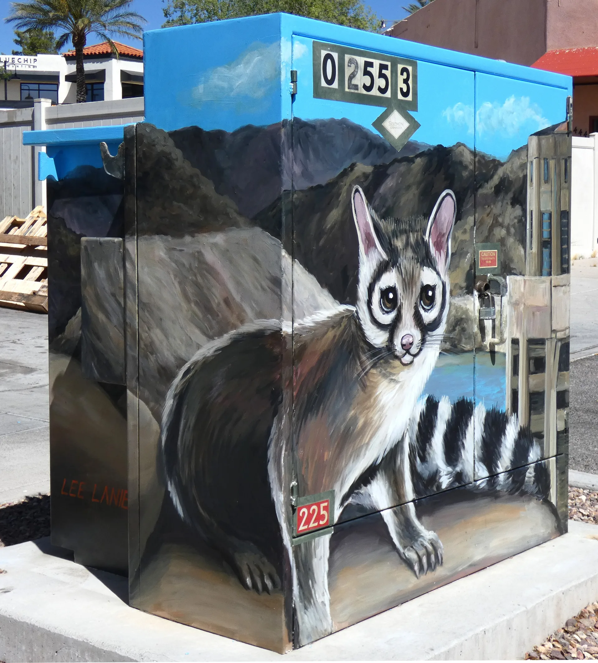 Portrait of a Ringtail Ca