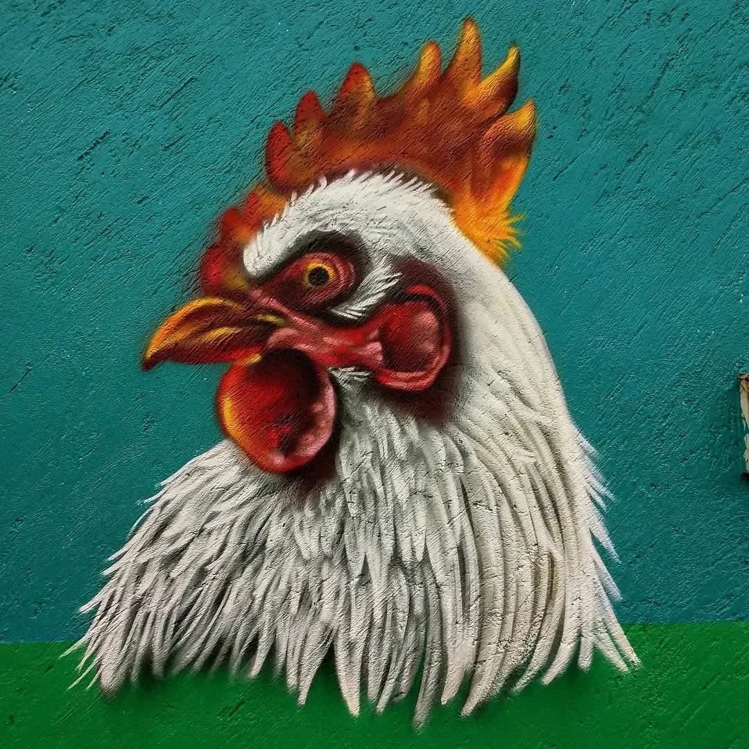Gallo 