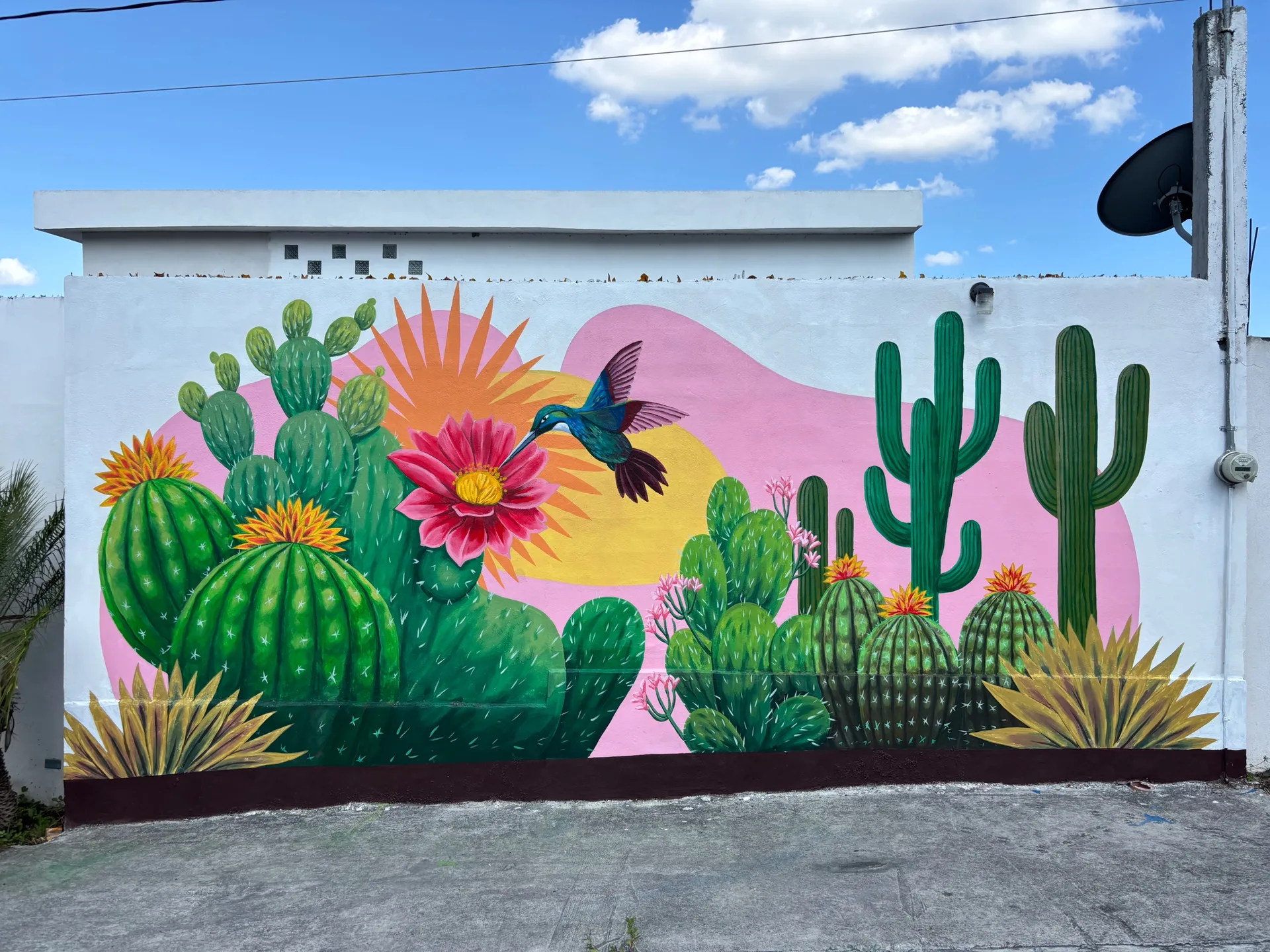 Cactus y Colibrí
