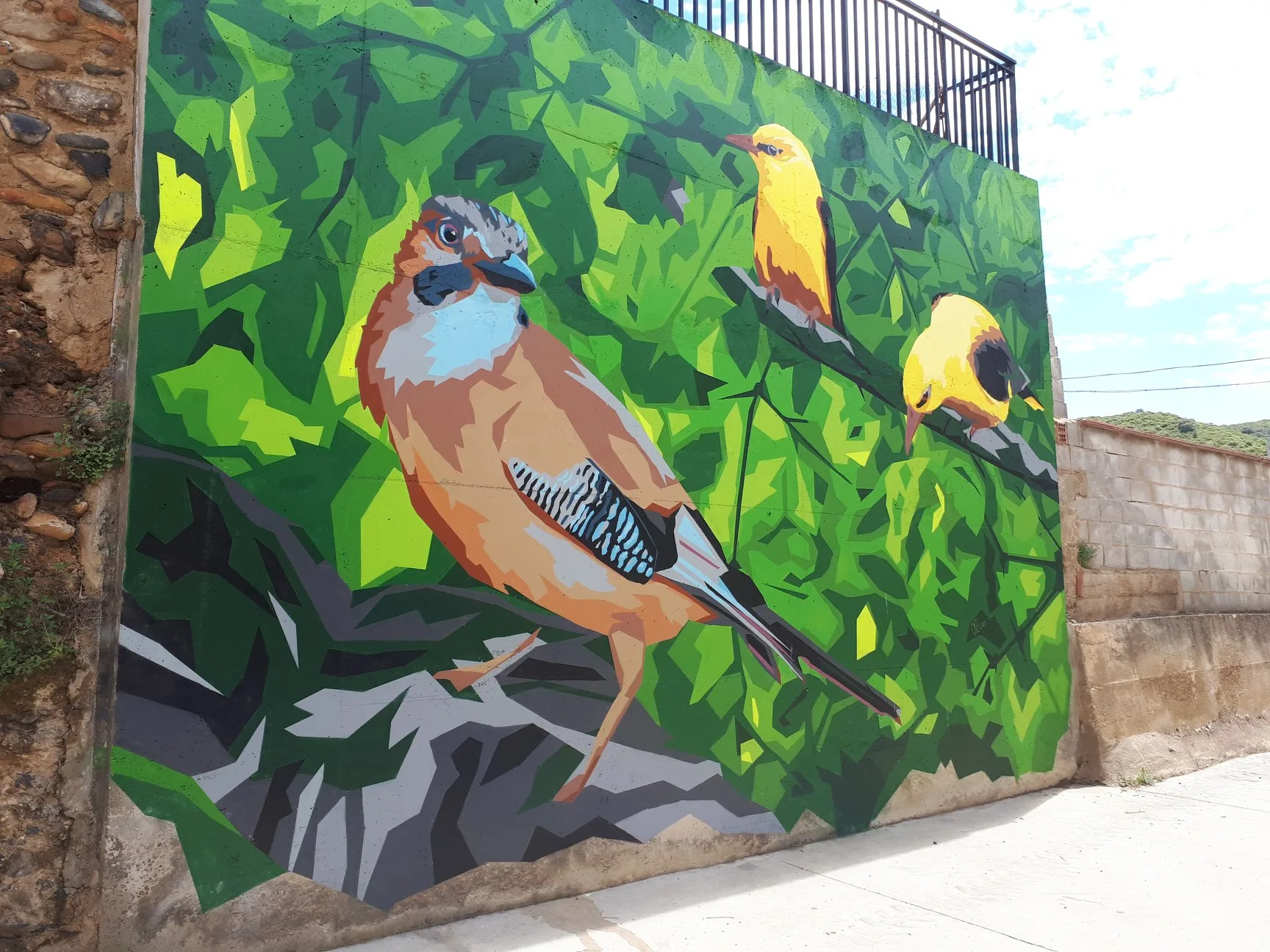 Pajaros de Sierra