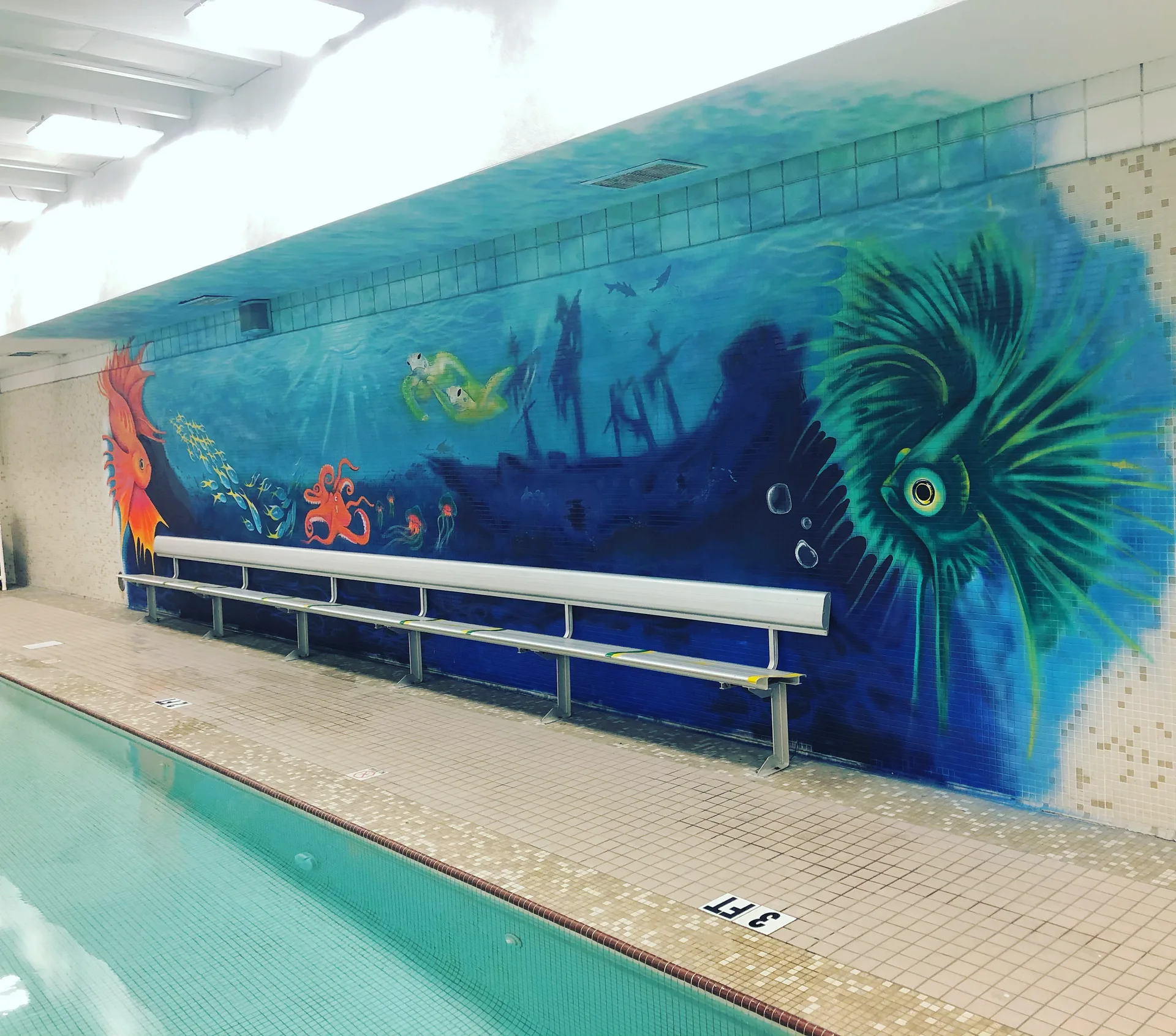 Under the sea