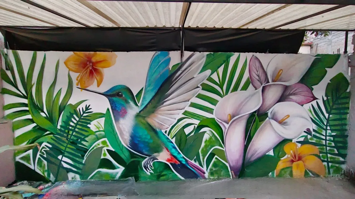 colibrí 
