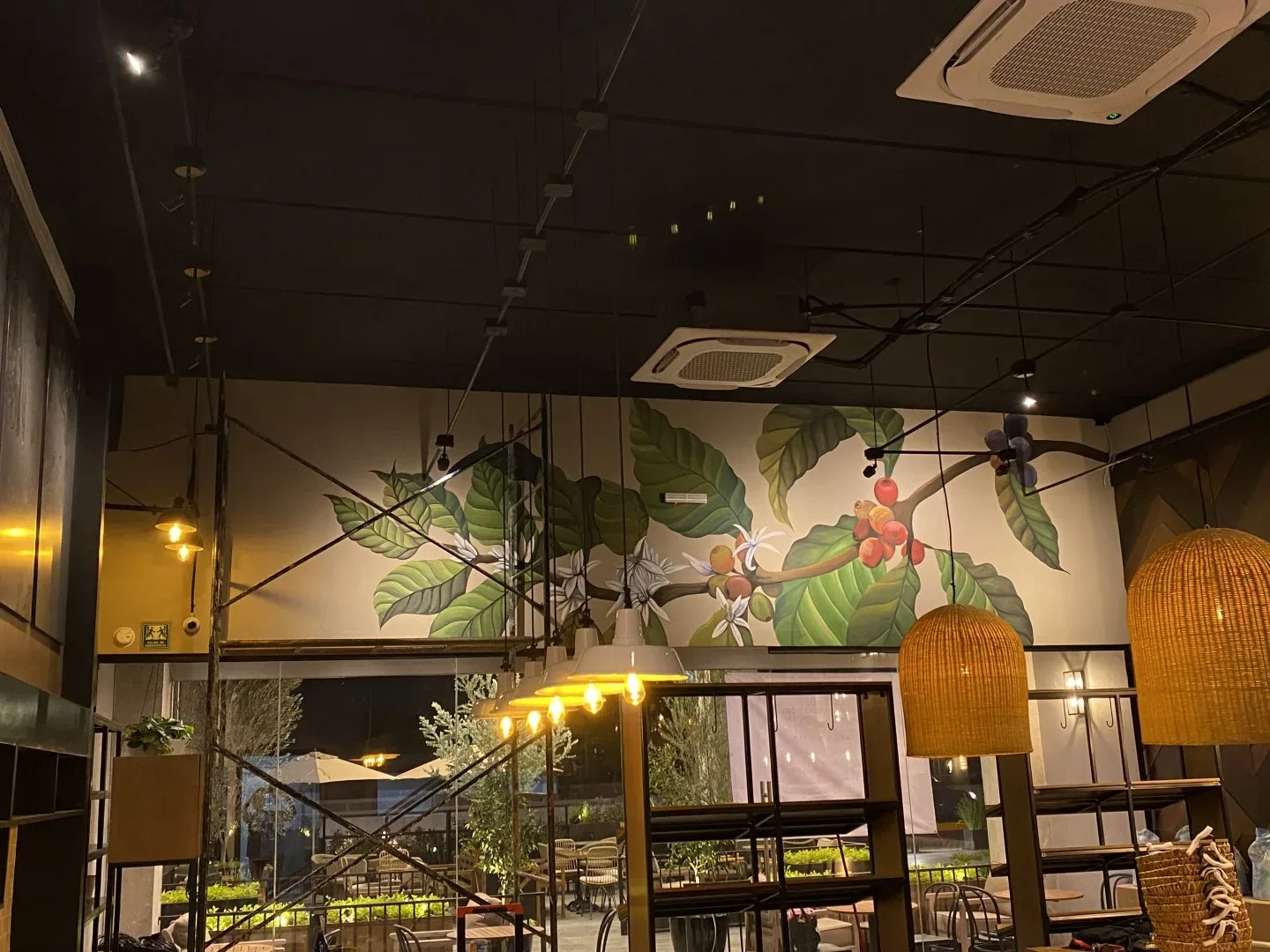 “Planta de café”