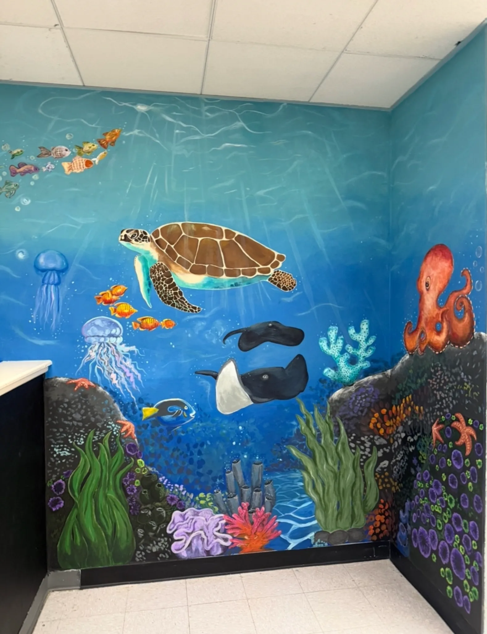 Under the Sea