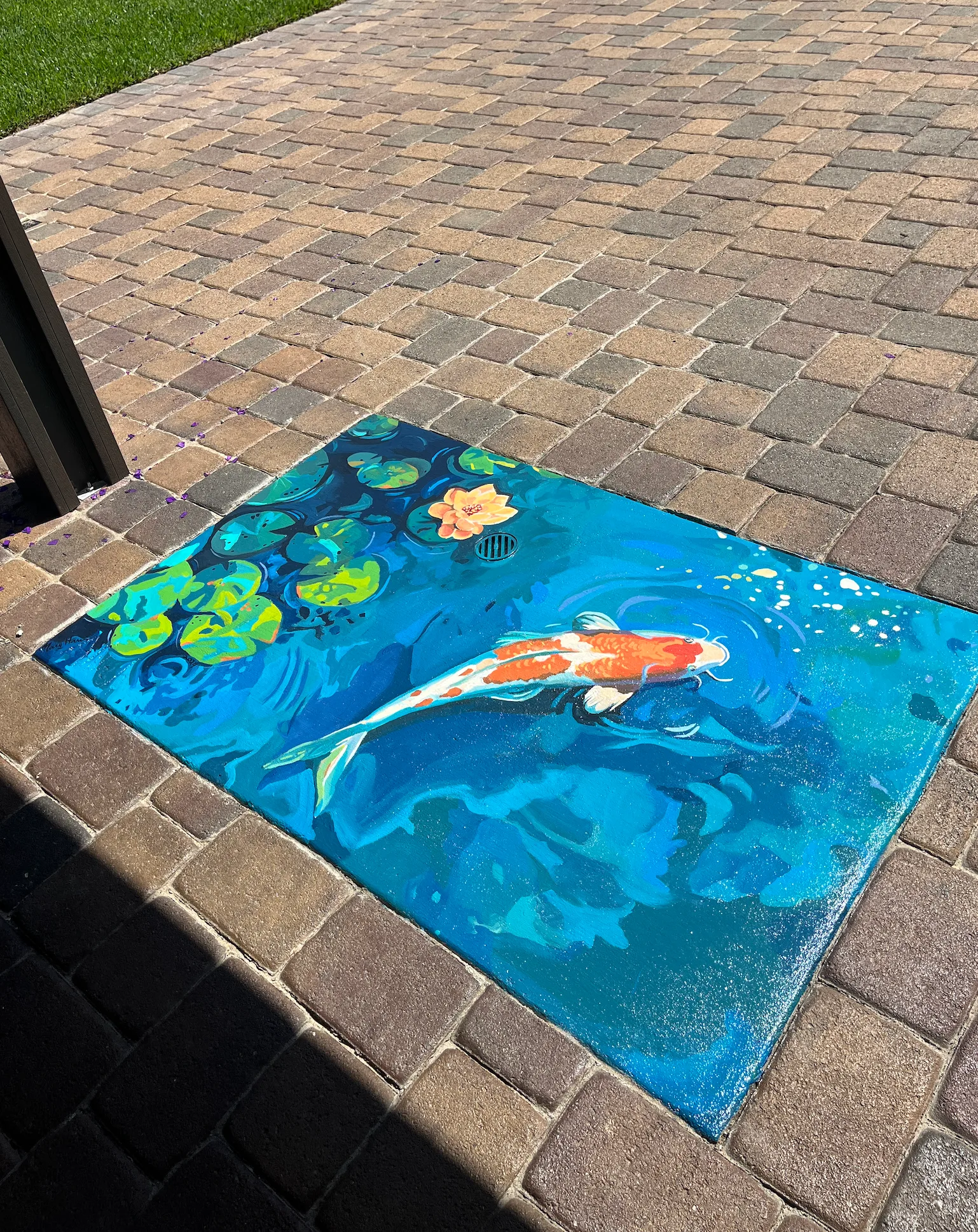 Koi