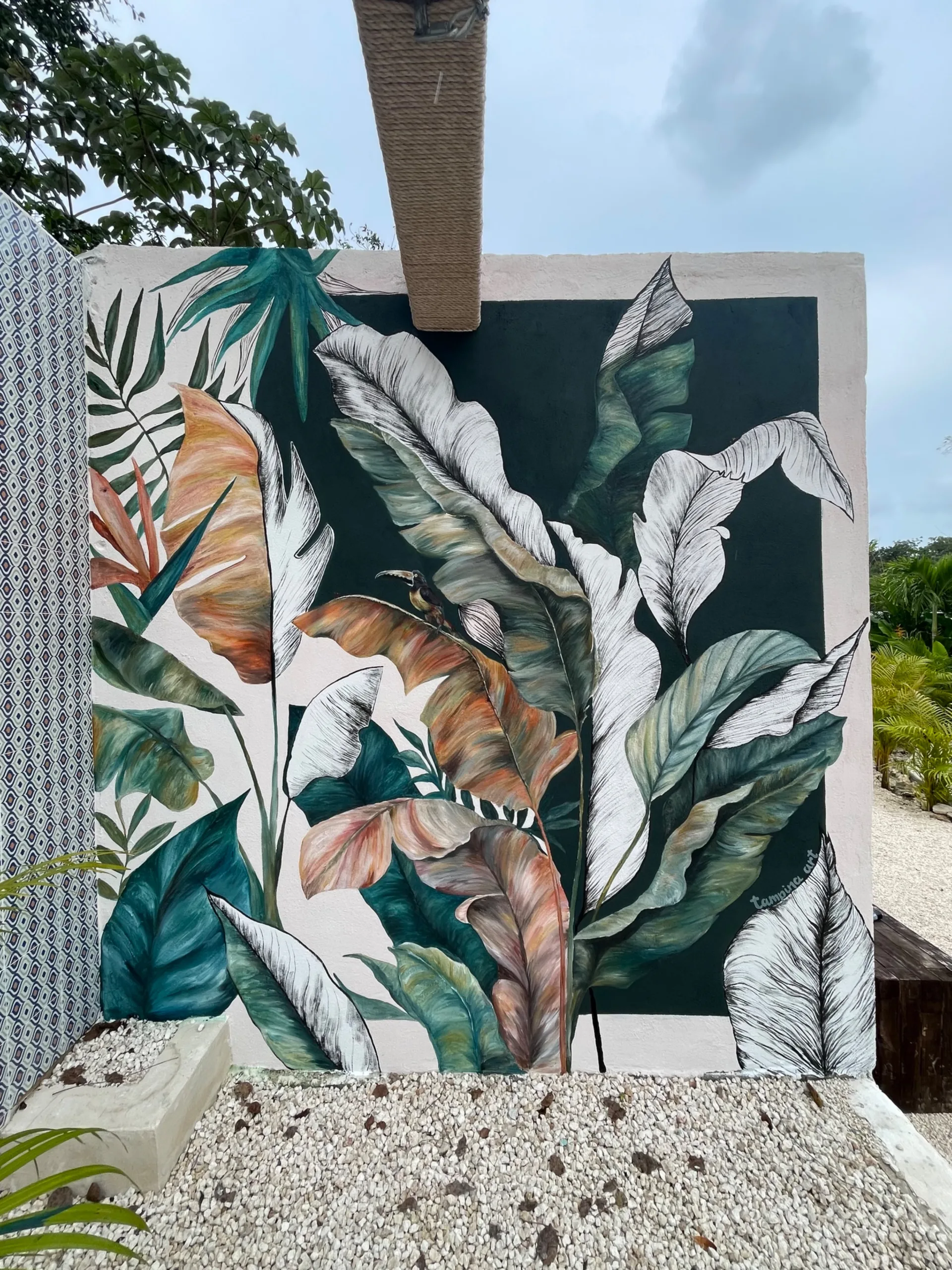 DESPUÉS - Natura Kuruva