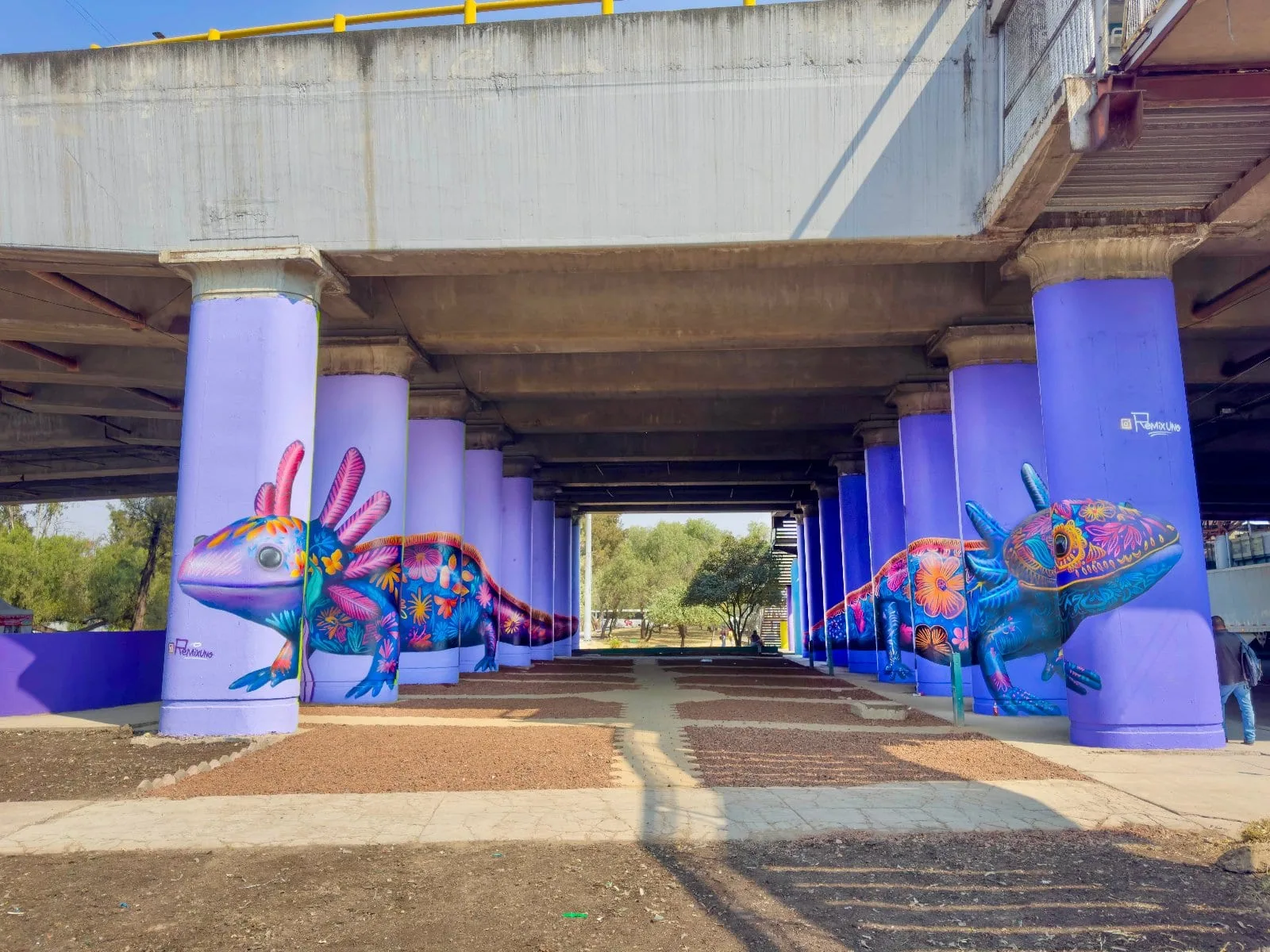 collab con daniela pintu