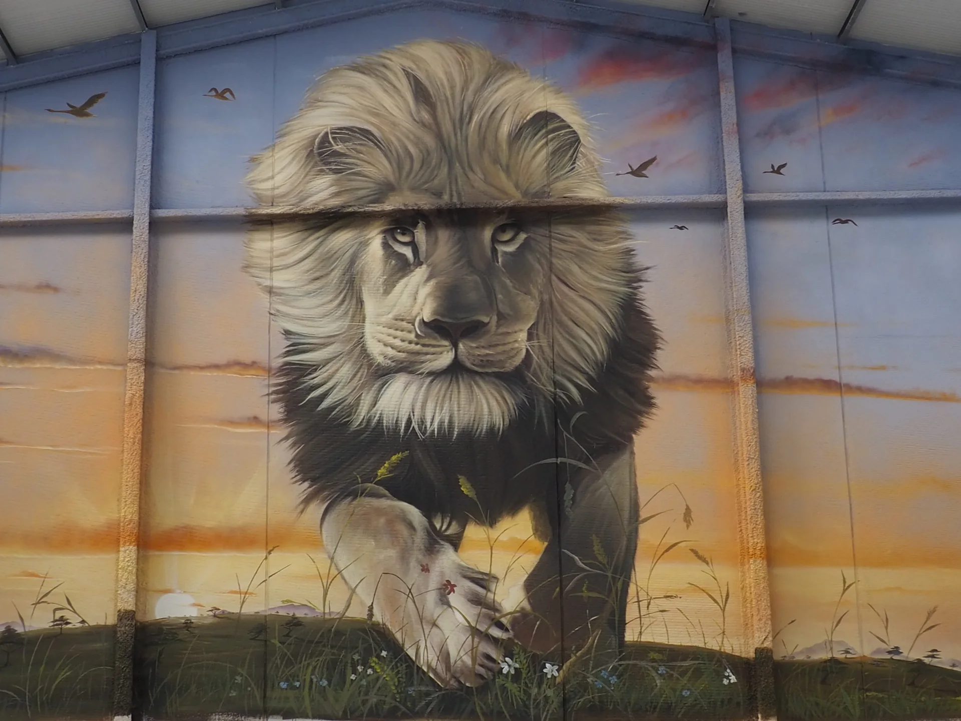León