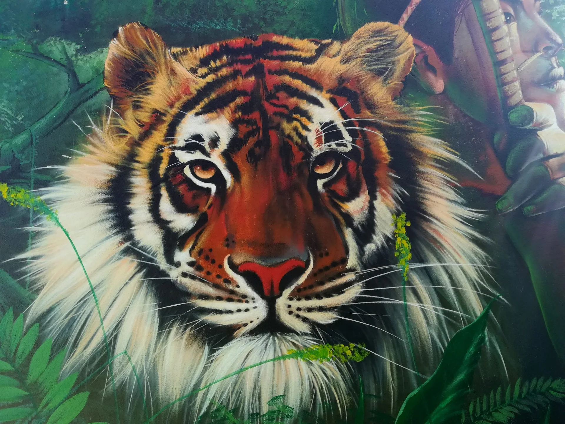 Tigre