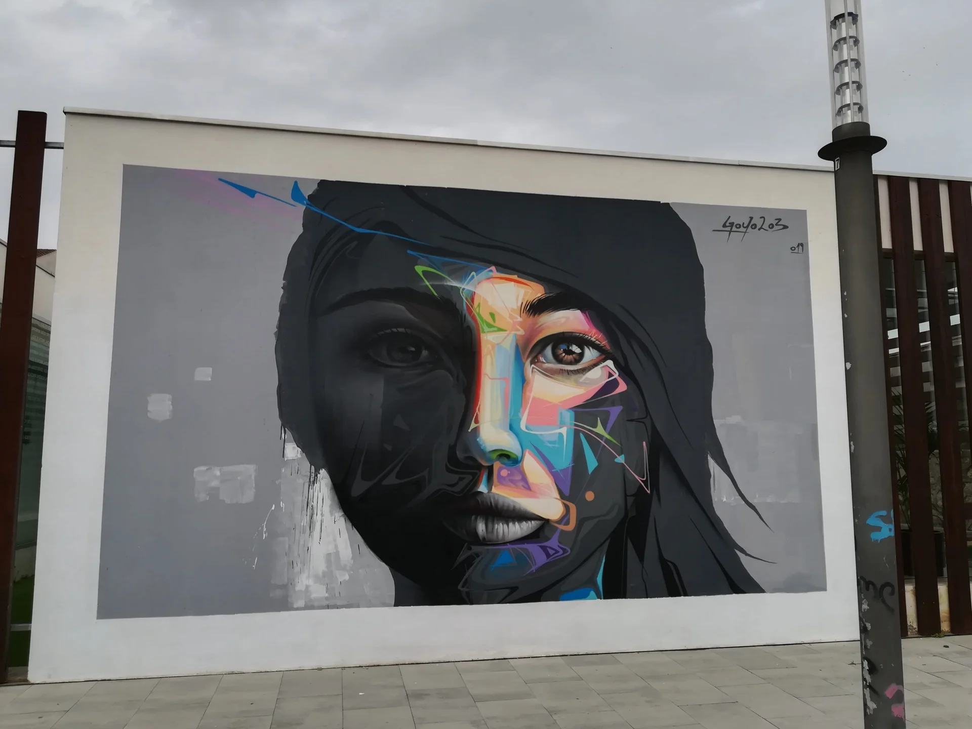 Rostro en dos mitades