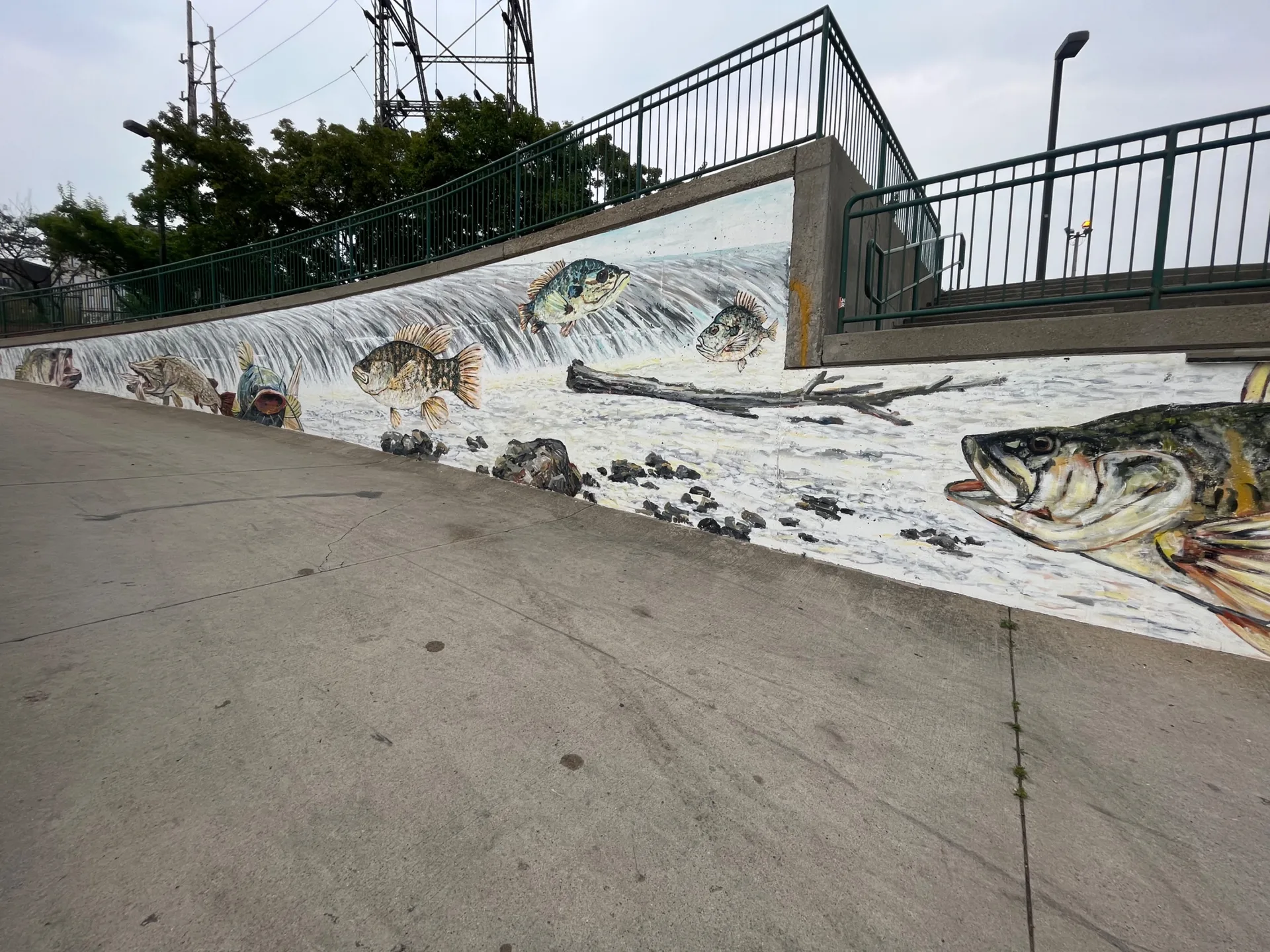 Michigan Fish