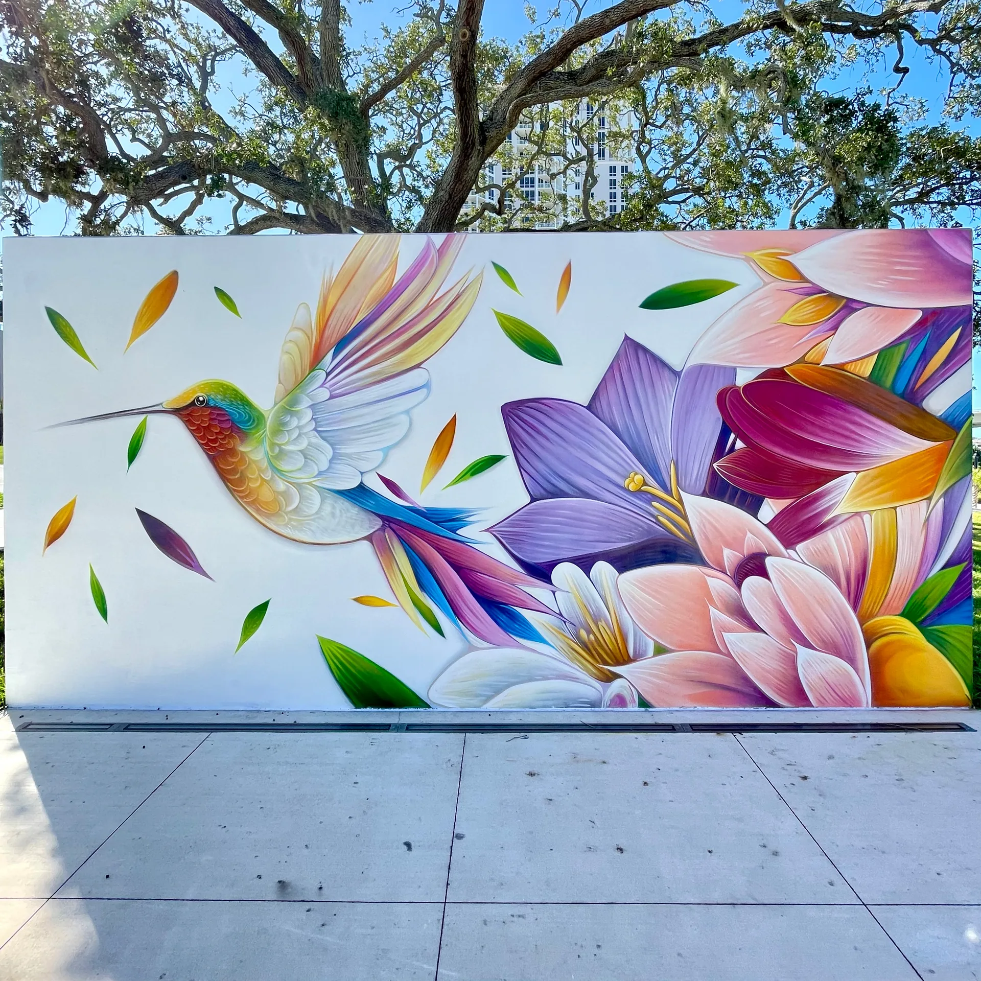 el viaje del colibri 