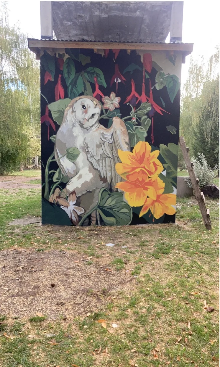 Camping amigos naturaleza