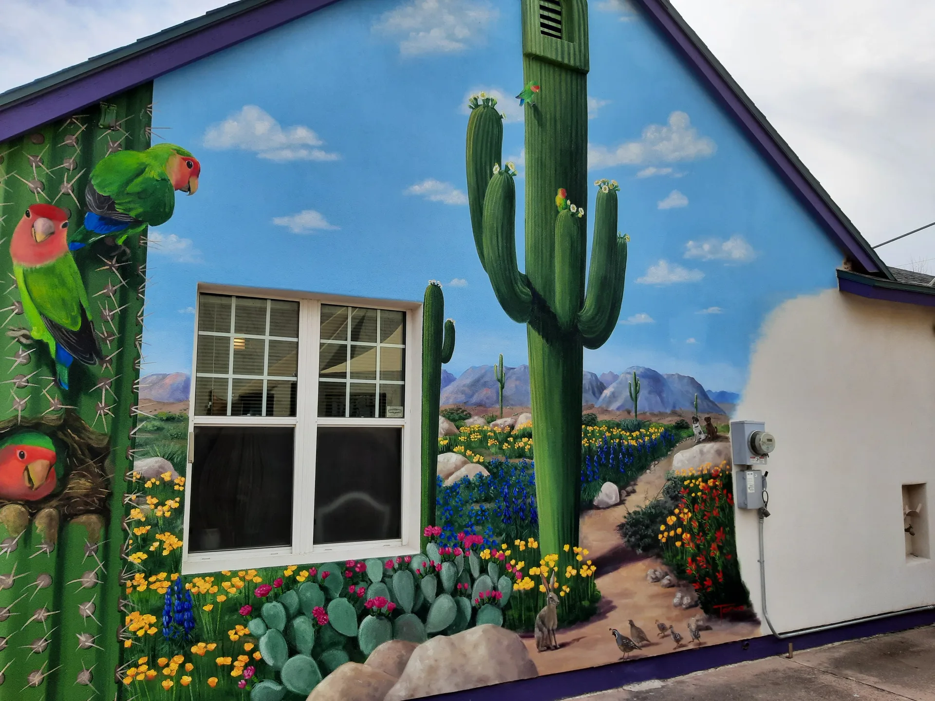 Desert Life