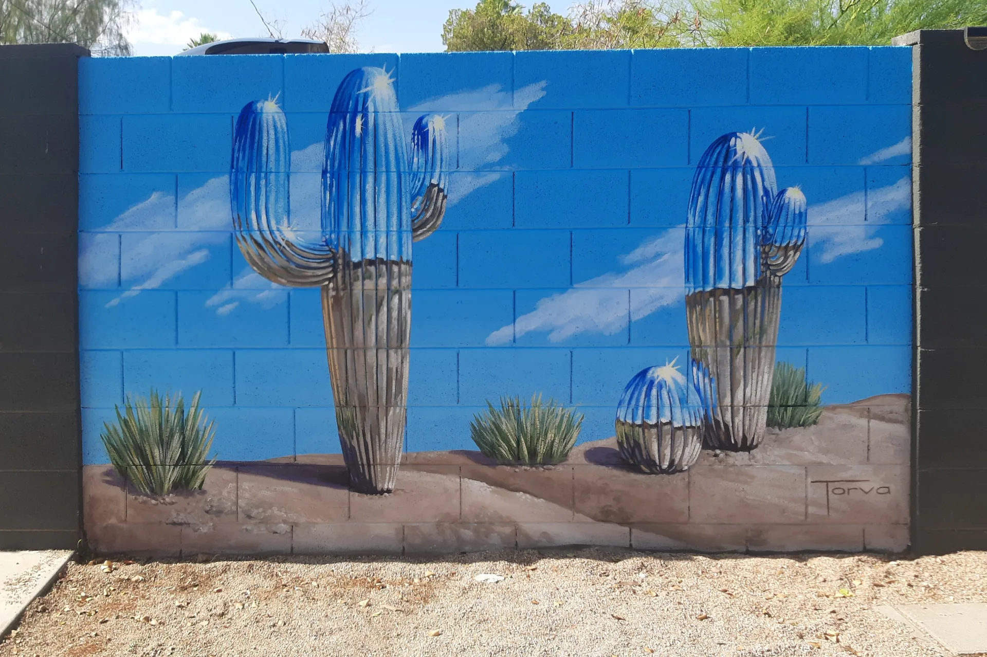 Chrome Cactus