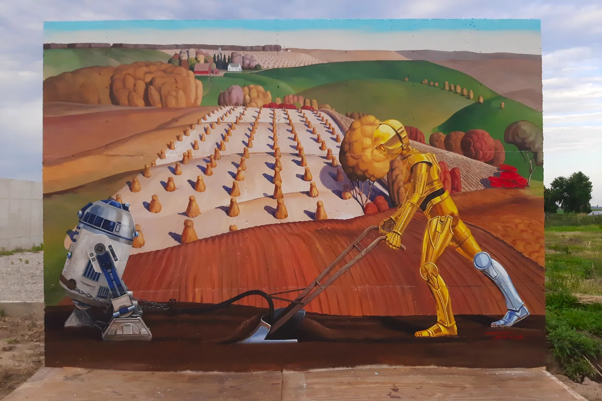 Fields of time