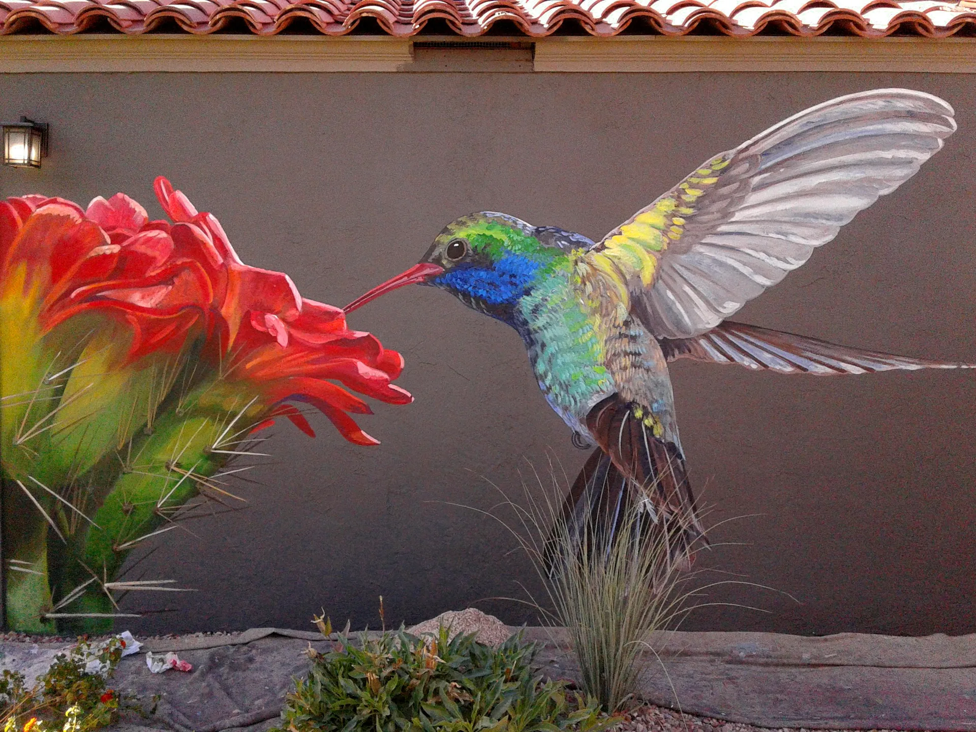 Hummingbird