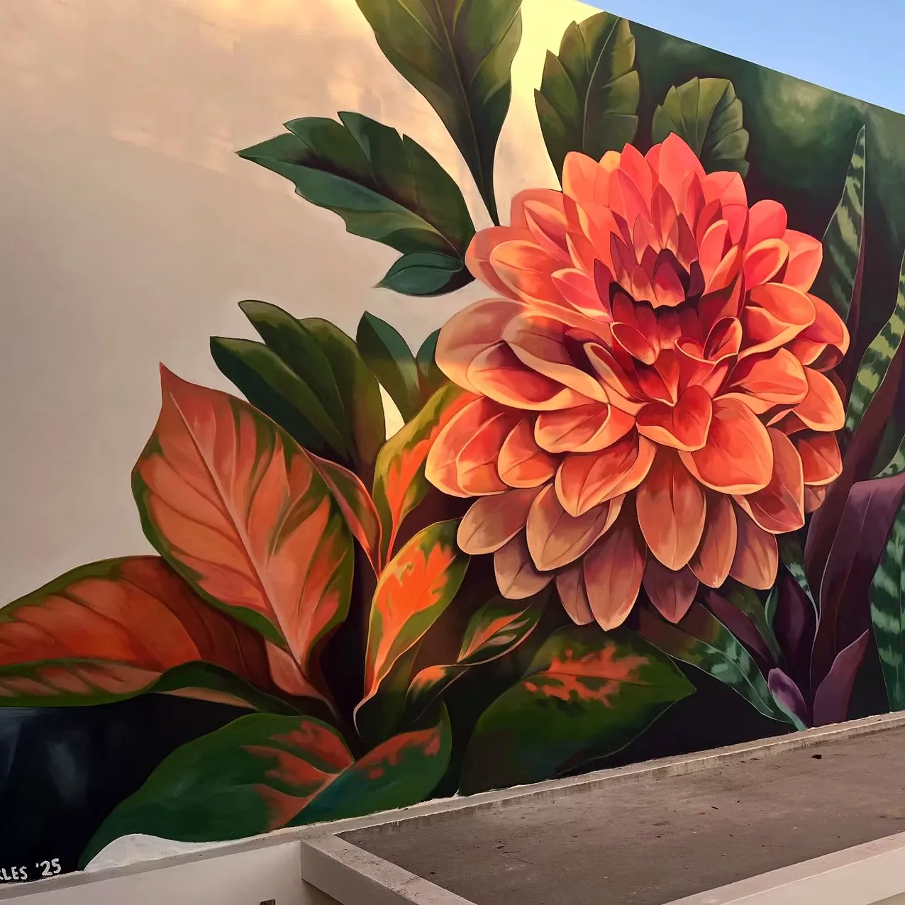Flor de Nayarit