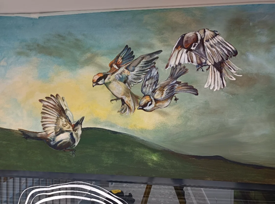 Morning birds