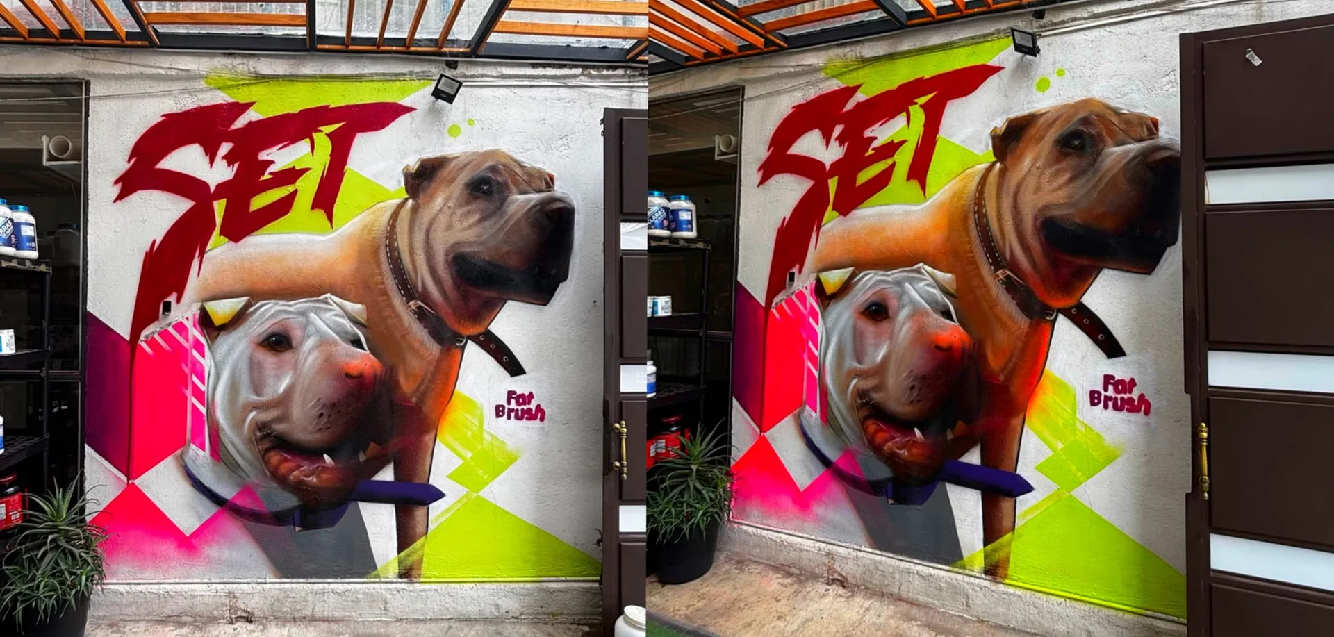 Set suplementos Alimentic