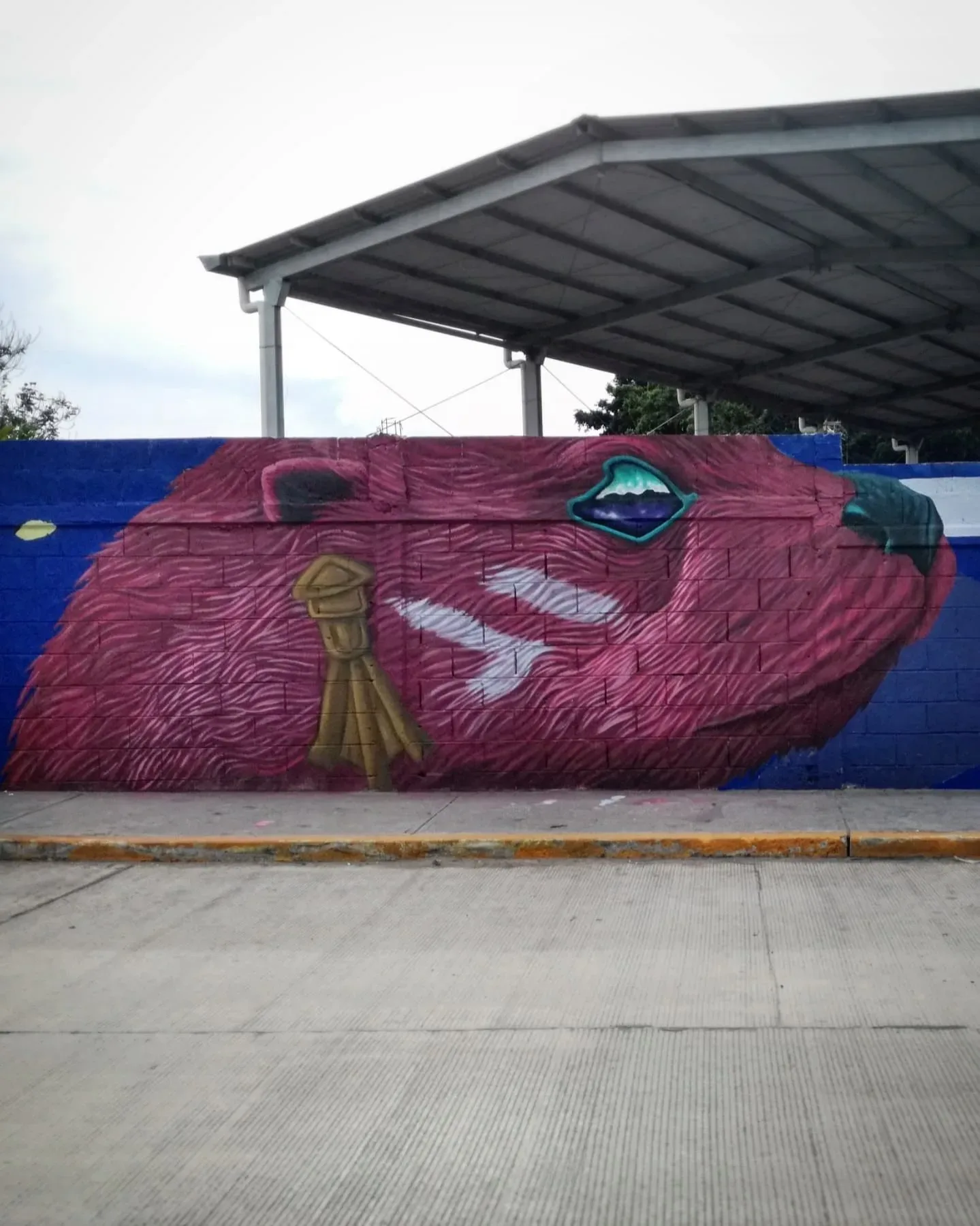 Nutria