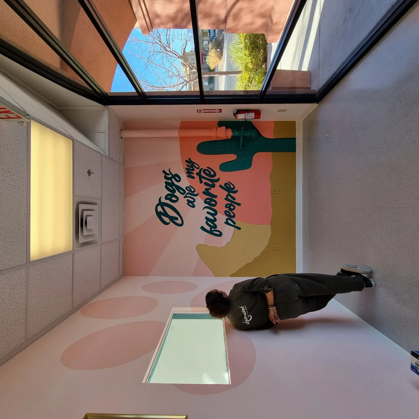 Mural Comercial Pet Spa