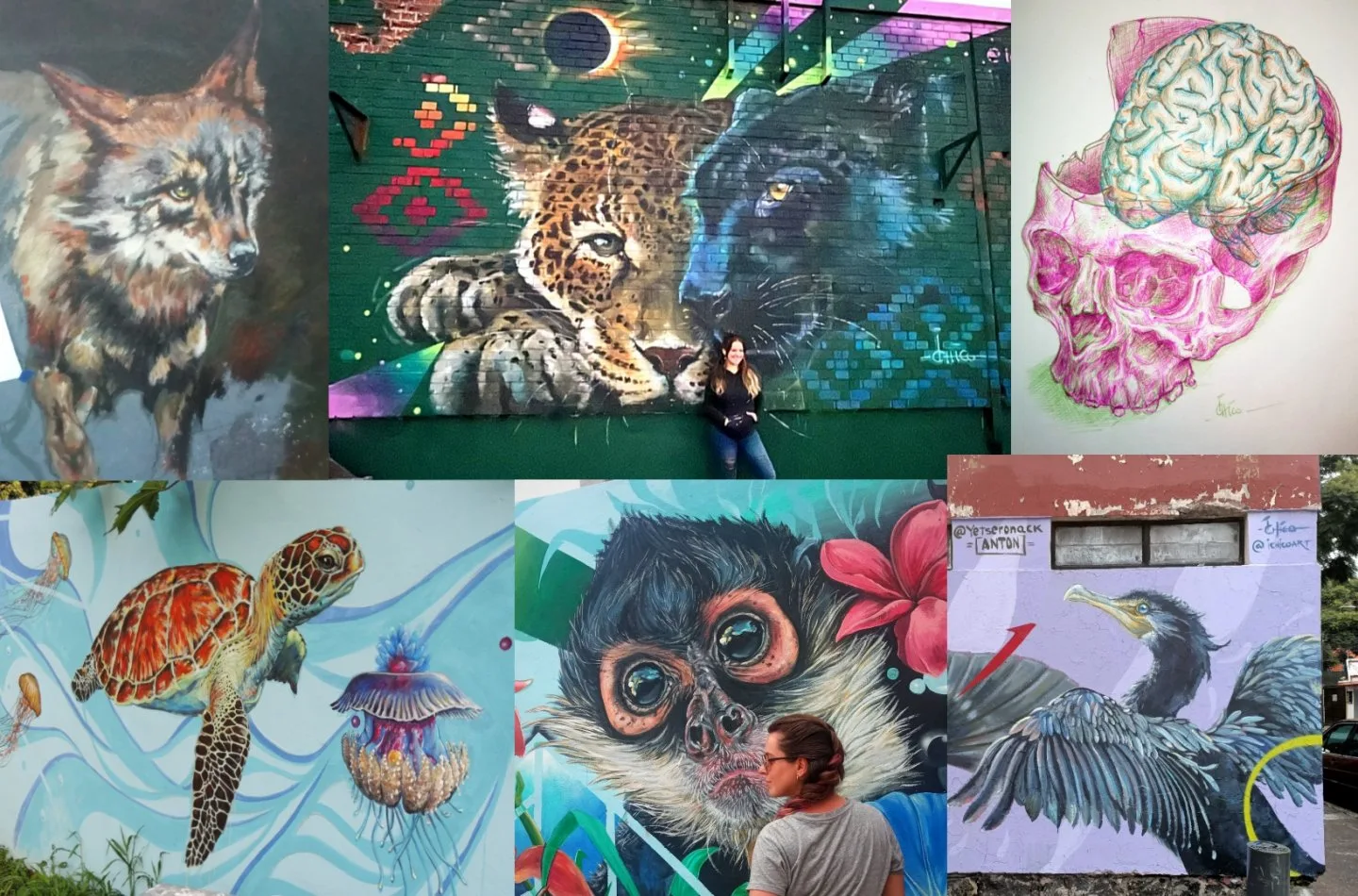 Mural de Jaguares Teufelsberg (o otros más en distintas partes de México)