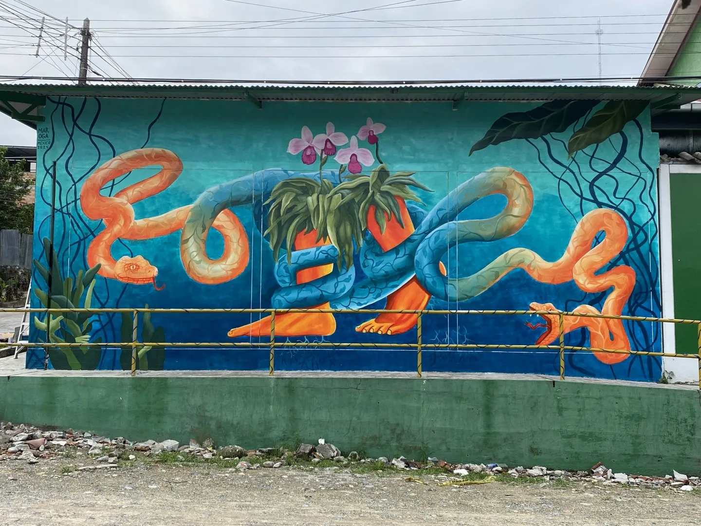 “Pies enraizados”