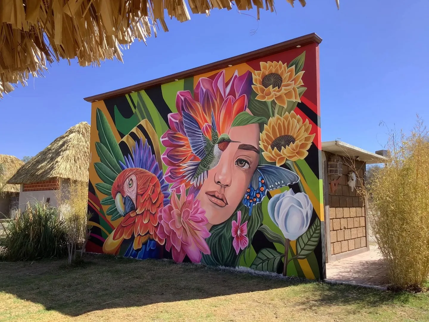 Sidecoracion2n título 