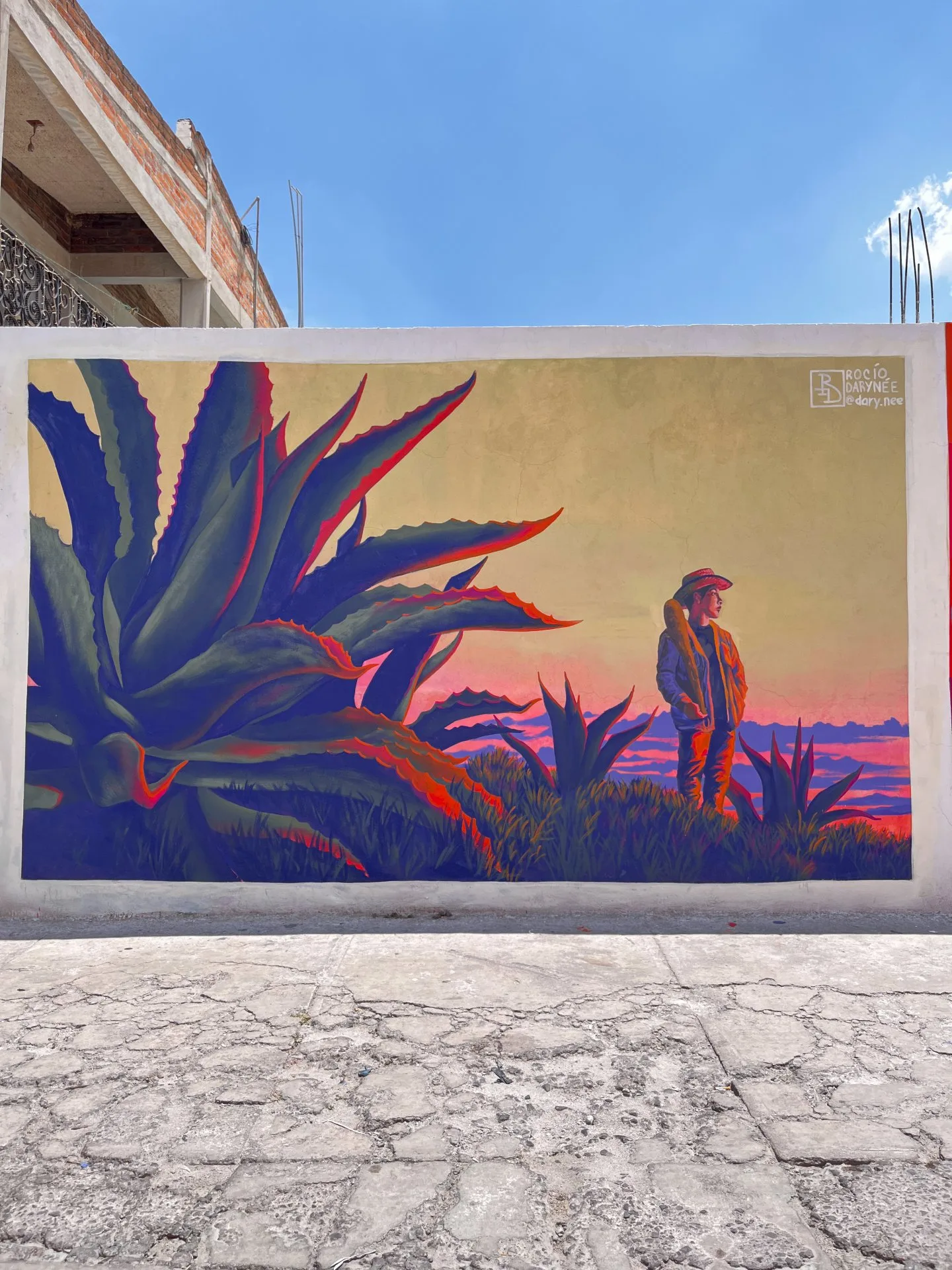 Tlachiquero mirando el atardecer